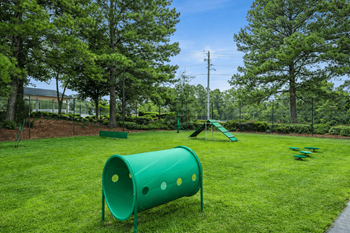 Bark park